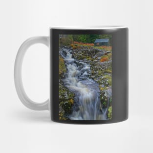 Waterfall at Ashness Bridge, English Lake District Mug